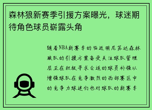 森林狼新赛季引援方案曝光，球迷期待角色球员崭露头角